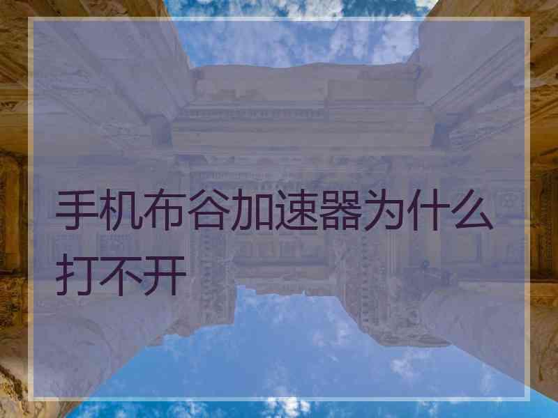 手机布谷加速器为什么打不开