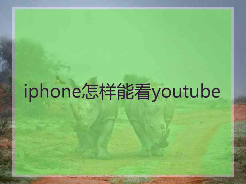 iphone怎样能看youtube