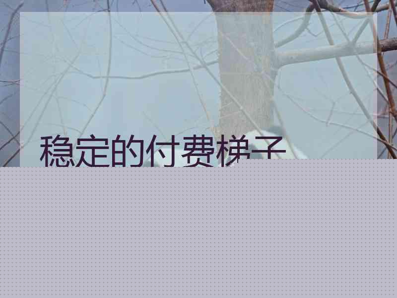 稳定的付费梯子