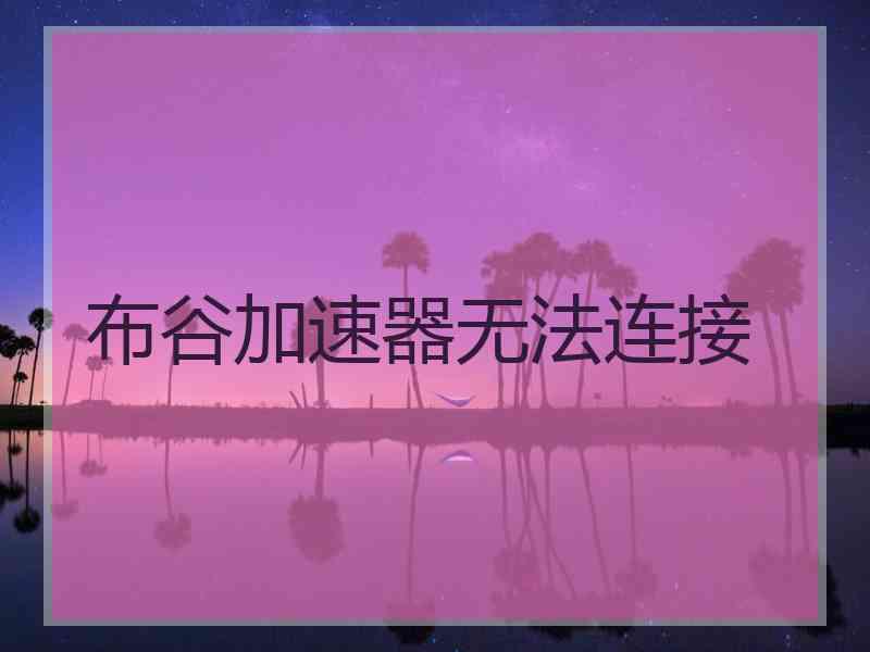 布谷加速器无法连接