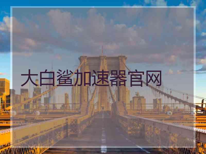 大白鲨加速器官网