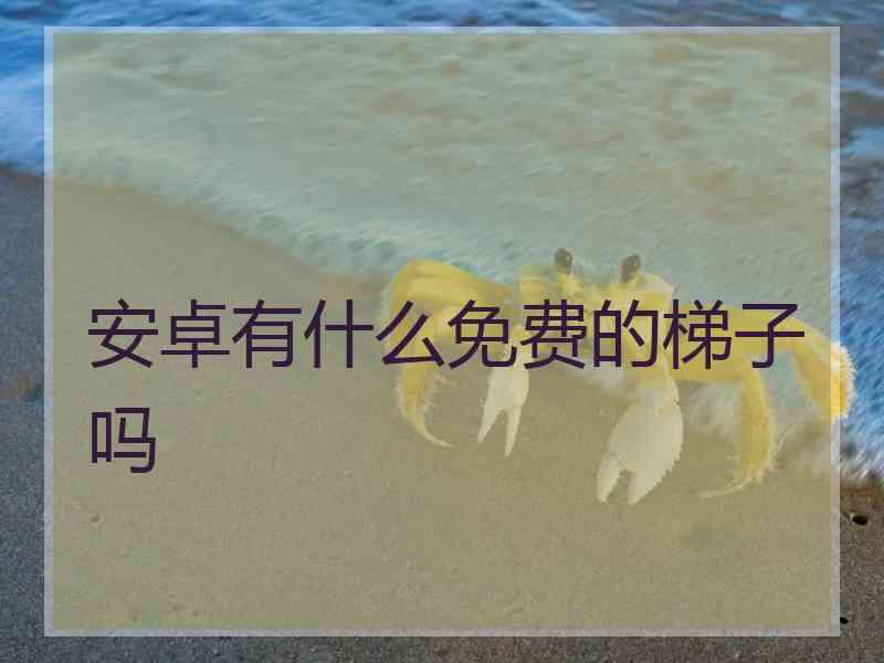安卓有什么免费的梯子吗