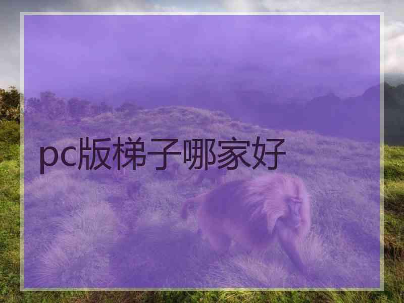 pc版梯子哪家好