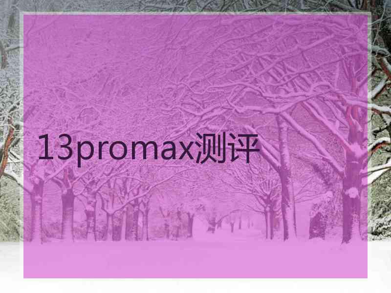 13promax测评