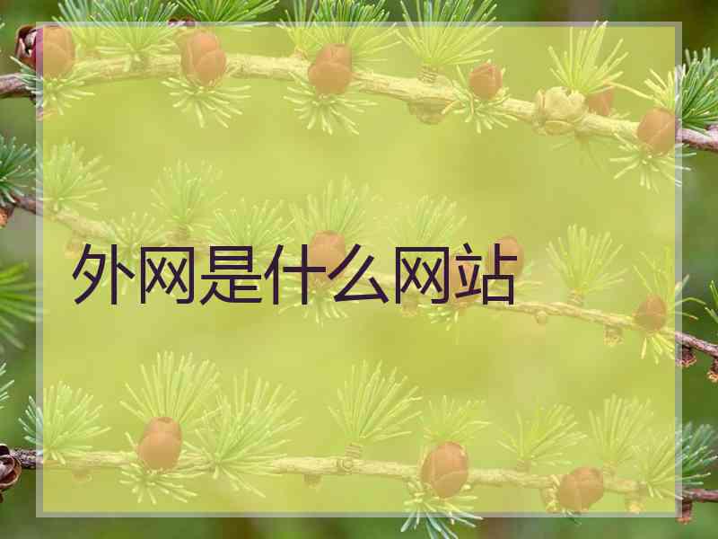 外网是什么网站