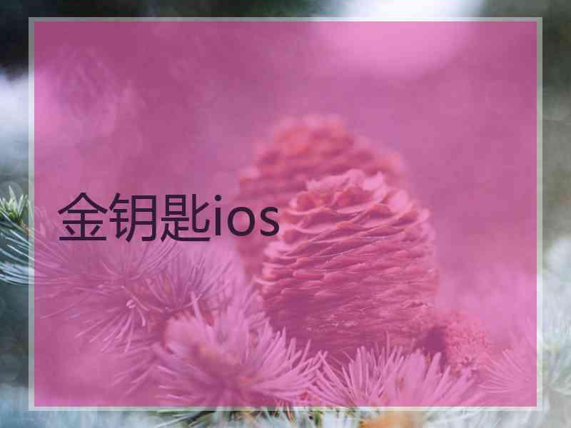 金钥匙ios