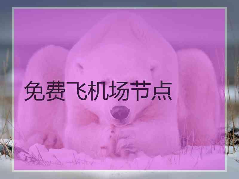 免费飞机场节点